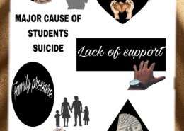 In India, suicide has become one of the leading causes of death among those aged 15-29. Bringing out the reasons behind the same, discuss the priority areas of the National Suicide Prevention Strategy.