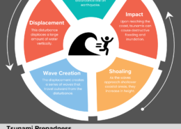 Explain the process of formation of a tsunami. Also, mention the tsunami preparedness and mitigation efforts taken by the government.