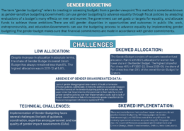 What is gender budgeting? Discuss the challenges associated with it in the Indian context.