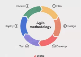 Principles of Agile Software Development