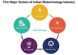 What are the major challenges faced by the Indian biotechnology industry, and how are they being addressed?