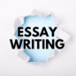 Essay Writing