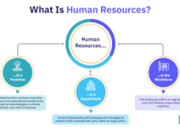 What strategies can human resources implement to improve employee retention and job satisfaction within an organization?