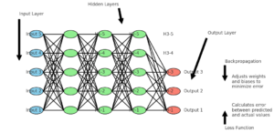 neural networks