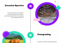 India’s diverse climatic conditions have given rise to a wide range of natural vegetation types, each adapted to specific environmental conditions. Examine the major threats to vegetation in India.